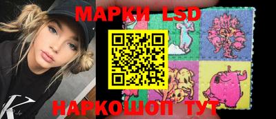прущие грибы Будённовск