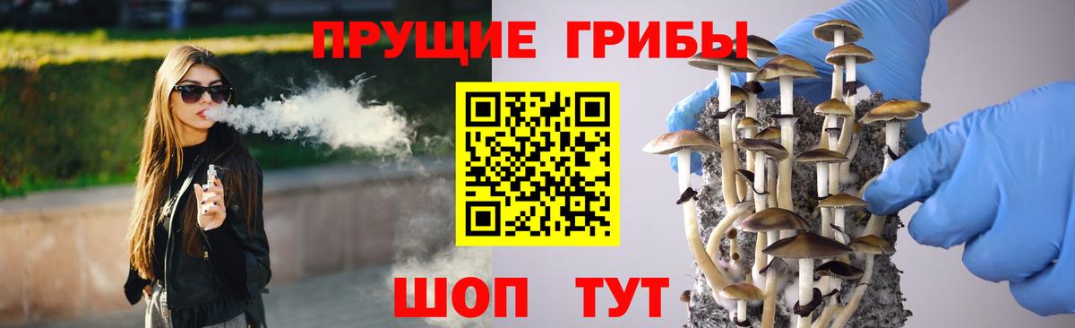 купить наркоту  Псилоцибиновые грибы Psilocybe  Вход с VPN  Ногинск 
